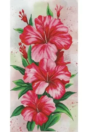 Compra Adesso kit ricamo a punto croce - Ibisco - Nova Sloboda