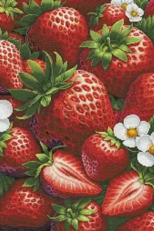 kit ricamo a punto croce - Il paradiso delle fragole - Nova Sloboda Economico