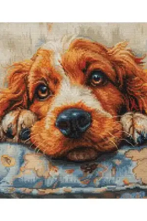 Più Venduto kit ricamo a punto croce - Cocker - Luca-S
