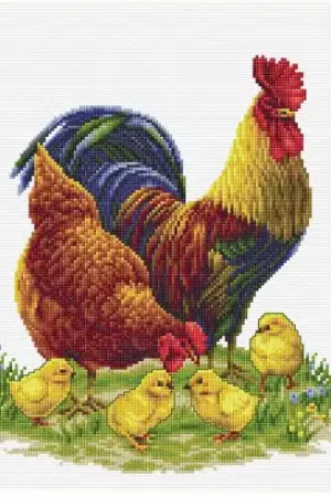 Saldi kit ricamo a punto croce - Galli, galline e pulcini - Dutch Stitch Brothers