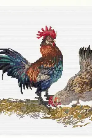 kit ricamo a punto croce - Gallo e gallina - Thea Gouverneur Ordina Subito