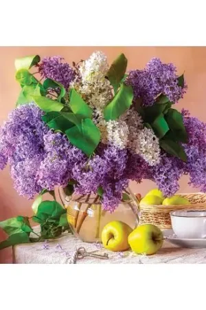 puzzle - Natura morta con lillà - 500 pezzi - Castorland Consegna Rapida