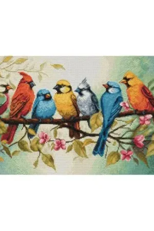 kit ricamo a punto croce - Le chant des oiseaux - Luca-S Offerta Limitata