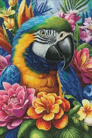 kit ricamo a punto croce - Un ragazzo simpatico - Nova Sloboda Nuovo Arrivo