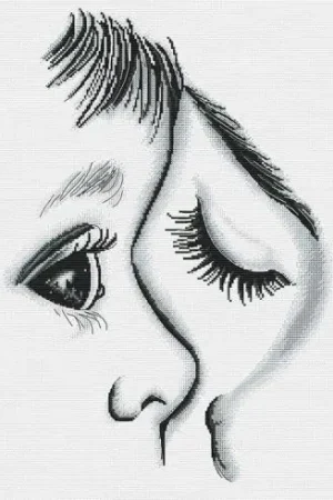 Ultime Pezzi kit ricamo a punto croce - Amore fraterno - Nova Sloboda