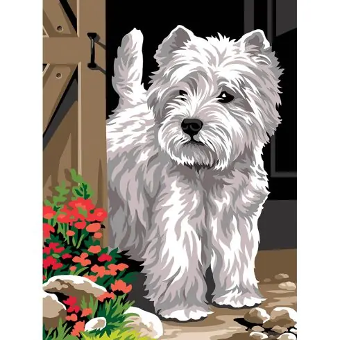 Offerta Speciale Canovaccio antico - Alla porta - SEG de Paris