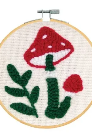 Prezzo Ridotto Kit ago broderie punch - Imparare l'ago da punzone con DMC - DMC