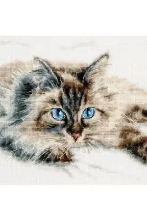 kit ricamo a punto croce - Felicità in piuma d'oca - Magic Needle Consegna Rapida