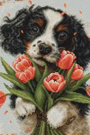 kit ricamo a punto croce - Cucciolo di Cocker Spaniel - Luca-S Vendita Finale