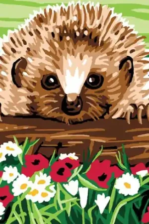 Kit di tela per bambini - Istrice - Luc Créations Più Venduto