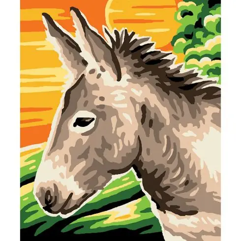 Kit di tela per bambini - L'asino - Luc Créations Solo Oggi