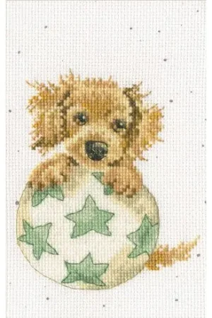 Kit bigliettini da ricamare - Un compleanno da sballo - Bothy Threads Occasione Imperdibile