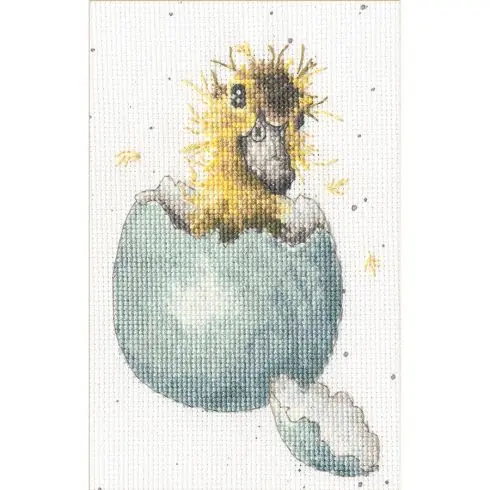 Promo Stagionale Kit bigliettini da ricamare - Sbirciare un po' - Bothy Threads