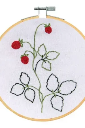 Kit ago broderie punch - Imparare l'ago da punzone - DMC Quantità Limitata