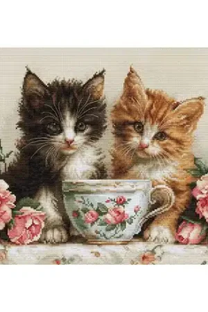 Solo Oggi kit ricamo a punto croce - Matinée dei gatti - Luca-S