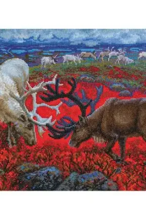 Occasione Imperdibile kit ricamo a punto croce - Leggi sulla tundra - RTO