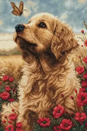 Prezzo Scontato kit ricamo a punto croce - Incontro sul campo - Luca-S