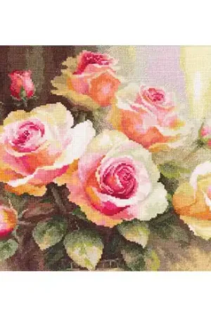 Sconto kit ricamo a punto croce - Rose di sole - Alisa