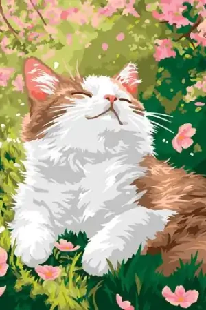 Kit di pittura per numero - Piacere - Wizardi Nuova Collezione