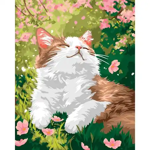 Kit di pittura per numero - Piacere - Wizardi Nuova Collezione