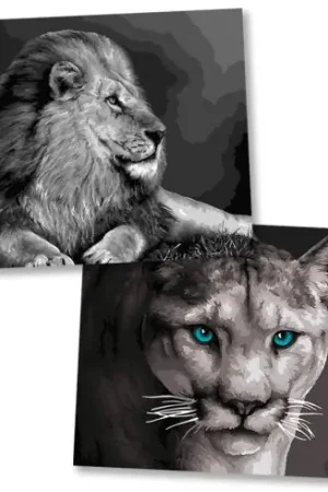 Occasione Kit di pittura per numero - Felini selvatici - Wizardi