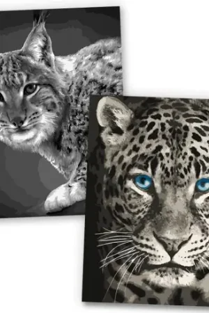 Kit di pittura per numero - Felini monocromatici - Wizardi Popolare