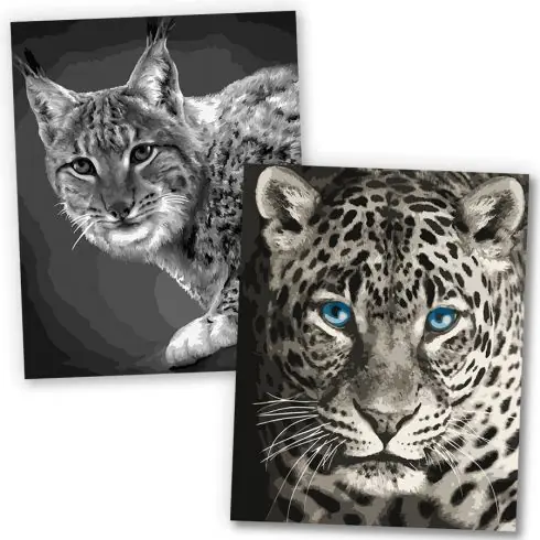 Kit di pittura per numero - Felini monocromatici - Wizardi Popolare