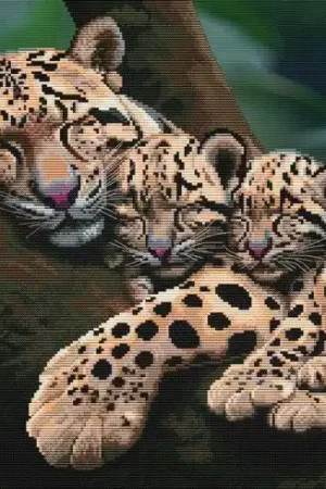 kit ricamo a punto croce - pisolino - Nova Sloboda Esclusivo