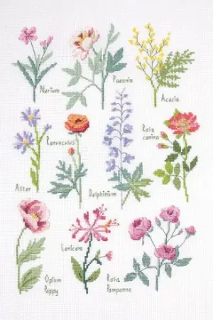 kit ricamo a punto croce - Tabella botanica - DMC Spedizione Espresso