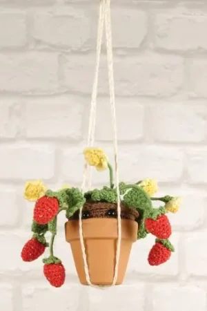 Acquista Ora kit di ganci - Fragole estive - DMC