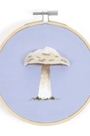 Kit di punti da ricamo - Fungo principe - DMC Prezzo Basso
