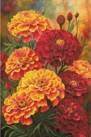 Economico kit ricamo a punto croce - Garofani indiani - Nova Sloboda