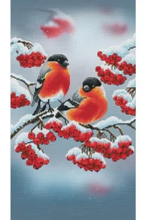 kit ricamo a punto croce - Ciuffolotti - Nova Sloboda A Buon Prezzo