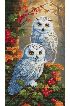 kit ricamo a punto croce - Le signore della foresta - Nova Sloboda Prezzo Conveniente