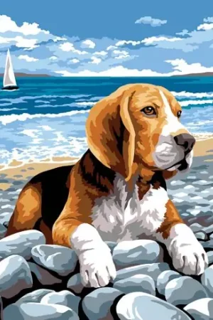 Canovaccio antico - Sui ciottoli - SEG de Paris Offerta Del Giorno