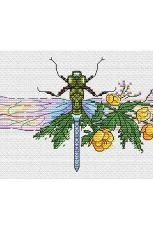 Offerta Kit di personalizzazione - Libellula - MP Studia