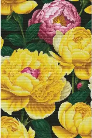 kit ricamo a punto croce - Peonie soleggiate - Nova Sloboda Super Prezzo