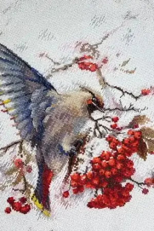 Pagamento Sicuro kit ricamo a punto croce - Tordo bottaccio - Andriana