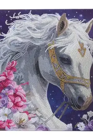 Kit ricamo diamante su telaio - Bellezza mistica - Crystal Art D.I.Y Miglior Prezzo