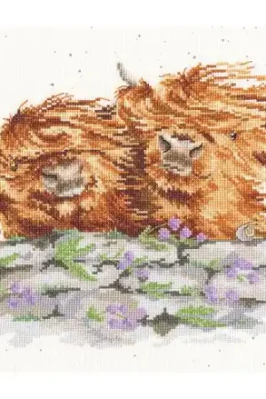 Professionale kit ricamo a punto croce - Mozzafiato - Bothy Threads