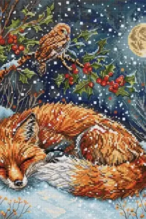 kit ricamo a punto croce - Sogni congelati - Letistitch Promozione Esclusiva