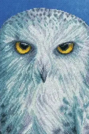 kit ricamo a punto croce - Saggezza - Bothy Threads Miglior Prezzo