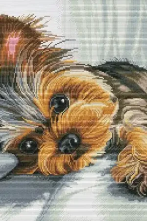 Ultime Pezzi kit ricamo a punto croce - Bello - Nova Sloboda