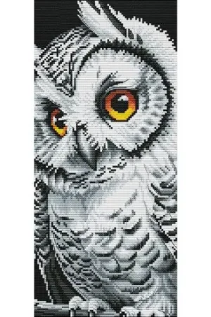 Affare kit ricamo a punto croce - Strega - Nova Sloboda