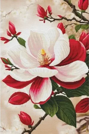 kit ricamo a punto croce - Magnolia Reale - Nova Sloboda Prezzo Ridotto