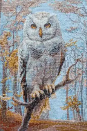 Compra Online kit ricamo a punto croce - Gufo selvatico di bosco - Aine