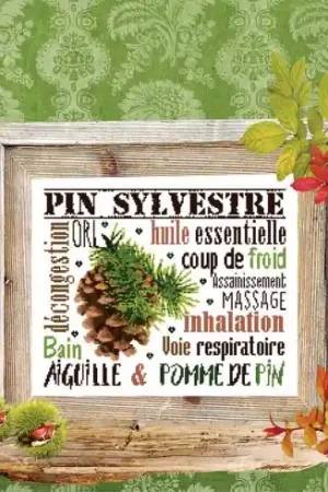 Foglio di punto croce - Ago e pigna - Isabelle Haccourt Vautier Nuova Collezione