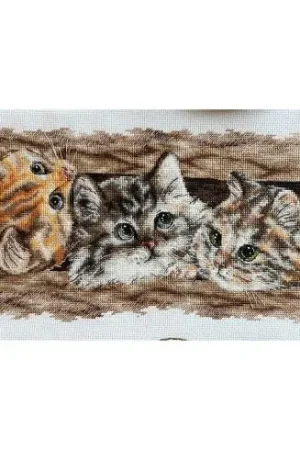 kit ricamo a punto croce - Trio di capelli - Andriana Novità