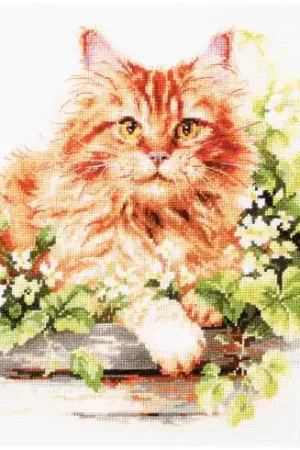 Spedito Oggi kit ricamo a punto croce - Il gatto rosso - Magic Needle